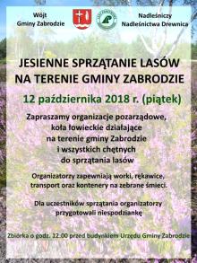Jesienna akcja sprzątania lasów na terenie gminy Zabrodzie