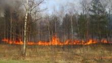 Niebezpiecznie duży pożar lasu