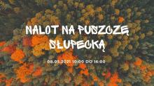 Akcja sprzątania lasów na terenie leśnictwa Czarna Struga