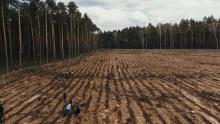 Wspólna akcja sadzenia lasu z PGNiG oraz obrączkowanie sokołów które wykluły się na kominie CIepłowni Kawęczyn