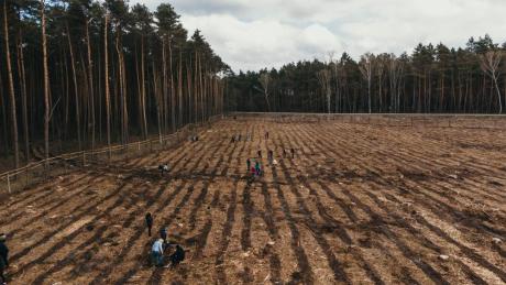 Wspólna akcja sadzenia lasu z PGNiG oraz obrączkowanie sokołów wyklutych na kominie CIepłowni Kawęczyn