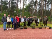Akcja sadzenia drzew oraz sprzątania lasu wzdłuż drogi powiatowej relacji Okuniew - Zabraniec